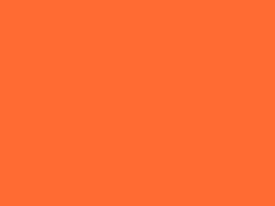 PLACEMATS ORANGE