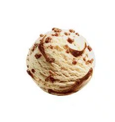 IJSROOM SPECULOOS