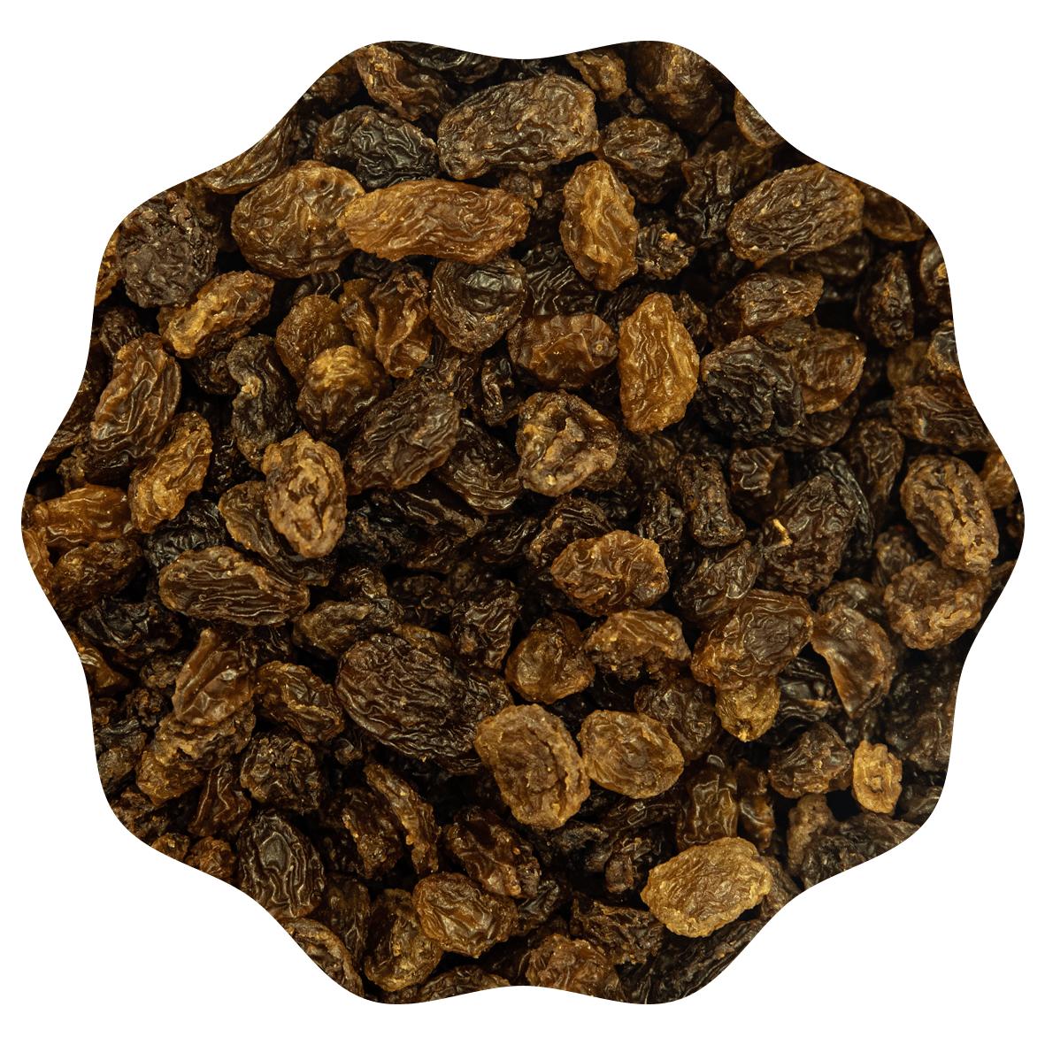 RANOBO RAISINS SULTANA