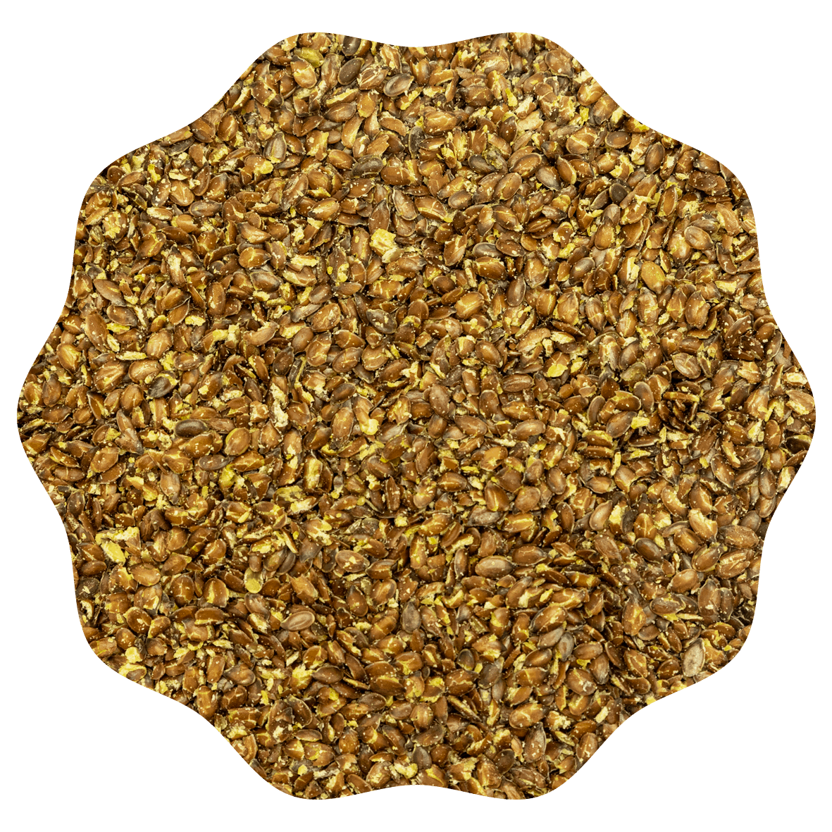 RANOBO GRAINES DE LIN BRISEES