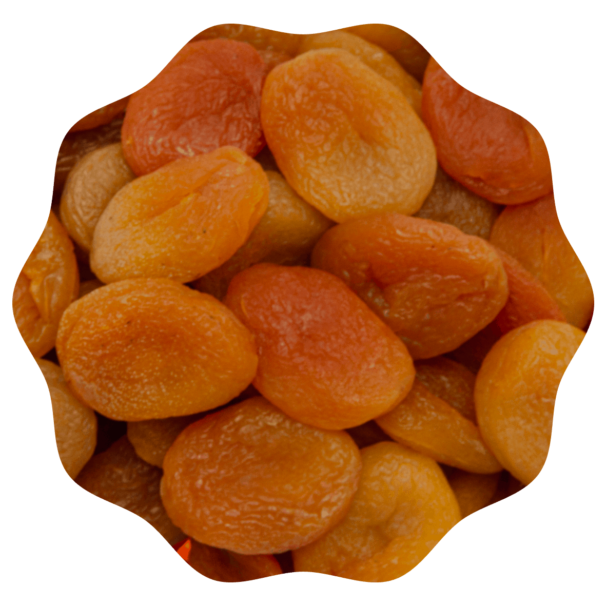 RANOBO ABRICOTS SECHE