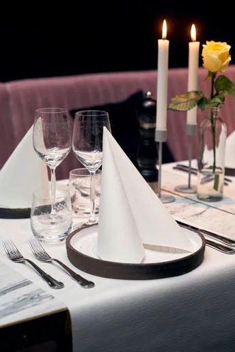 DUNI NAPKINS D-LINE 48X48CM WHITE *186755*