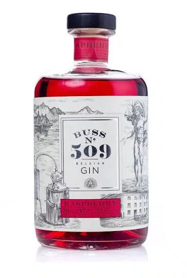 BUSS 509 GIN RASPBERRY