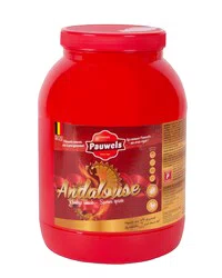 ANDALOUSE