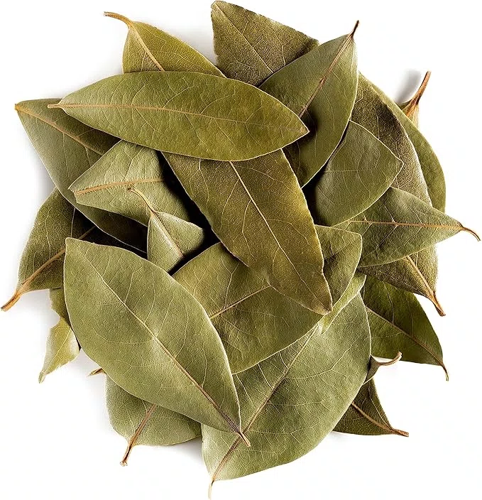 LAURIER FEUILLES ISFI