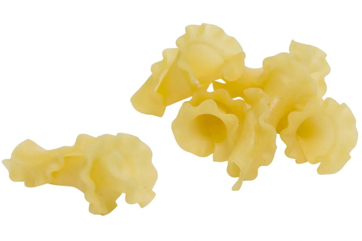 GIROLLE  (Altoni)