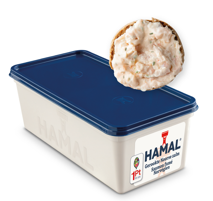 HAMAL GEROOKTE ZALMSALADE