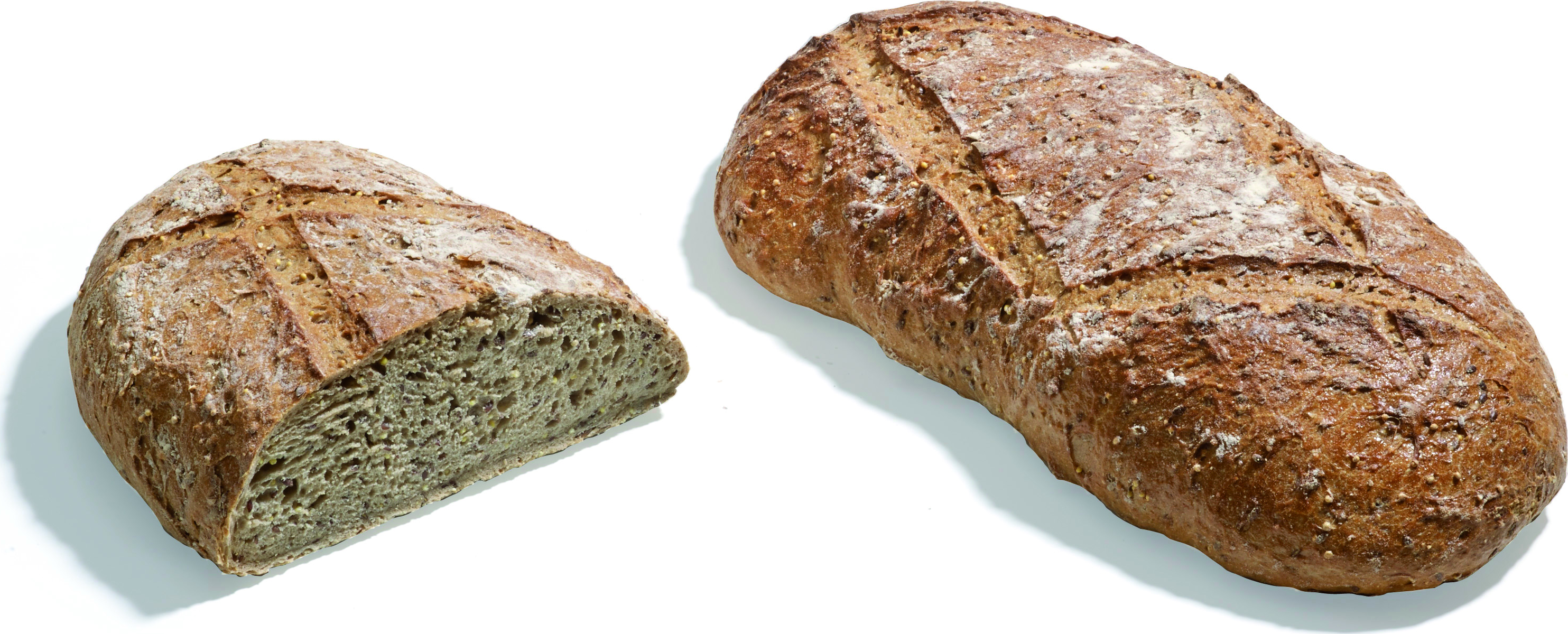 RUSTIC SOURDOUGH MULTIGRAIN