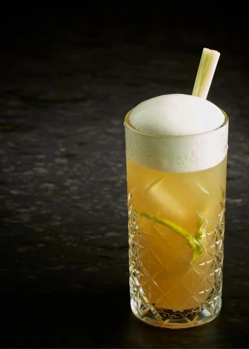 R&D SIPHON-EVOLUTION COCKTAIL-FOAM GINGER/LEMONGRASS