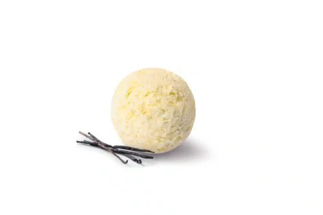 IJSROOM VANILLE BOURBON PAGOTINI